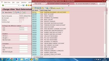 FOREIGN EXCHANGE GAIN OR LOSS IN SAP, CUSTOMIZATION AND END USER