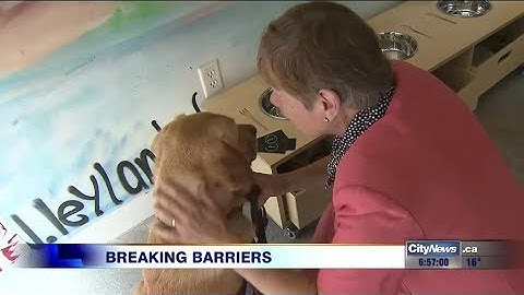 New community hub for people with sight loss provides social and emotional support