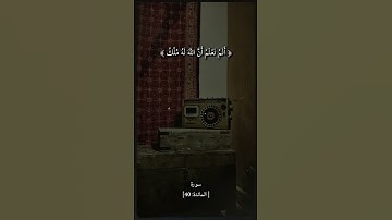 سورة المائدة بصوت الشيخ سيد سعيد رحمه الله #قرآن #قران_كريم #راحه_نفسيه #الشيخ_سيد_سعيد #funny #fyp