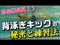 【背泳ぎ】キックの基本とキックを活かした泳ぎ方ができるようになる練習方法