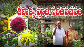 Home Flower Garden || 500 Varities || పూల పొదరిల్లు || Parthasarathy || Hyderabad