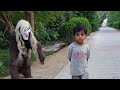 Funny bhoot 