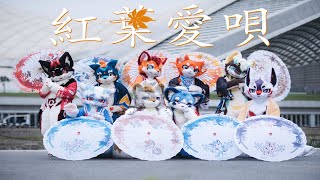 9匹で『紅葉愛唄』を踊ってみた