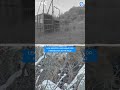 Amazing Footage: Bear Spotted in Wild After Release!