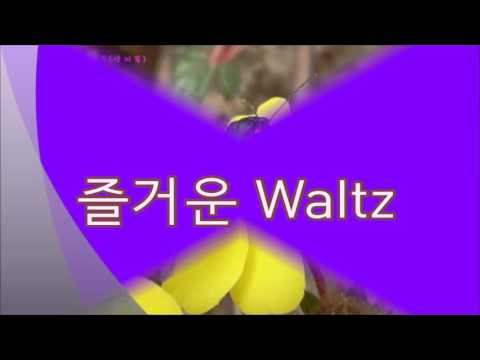 즐거운 Waltz