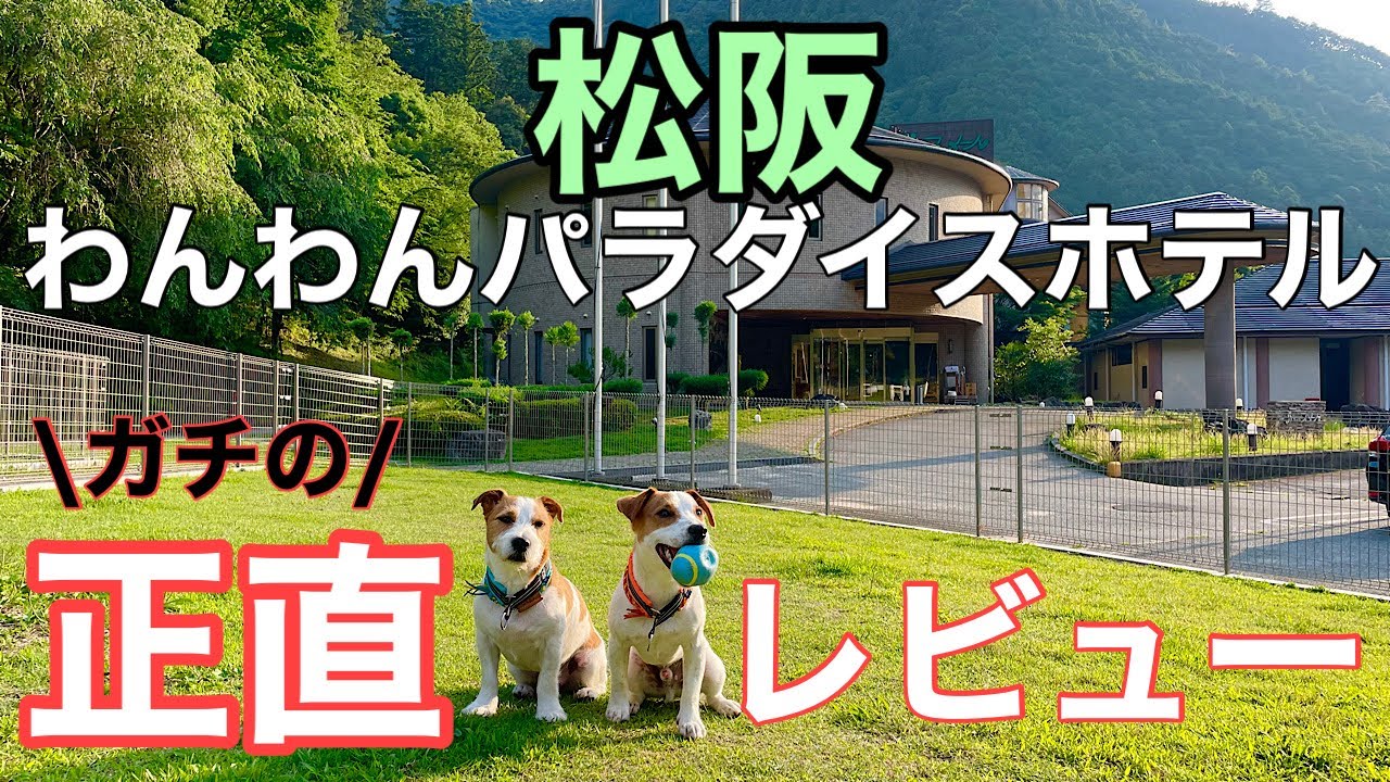 【予約困難】松阪わんわんパラダイスホテルに宿泊