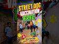Tumkur Smart City Dog Vaccination Free #shorts #ytviral #ytshorts #dog #vaccination
