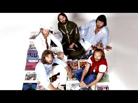 The Beach Boys - Shake, Rattle And Roll (Mono Edit)