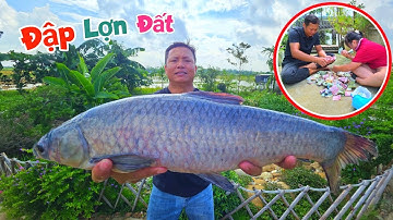 Lần Đầu Thả Lưới Được Cá Trắm Đen Siêu To Và Công Khai Số Tiền Đập Lợn / Quế Nghịch