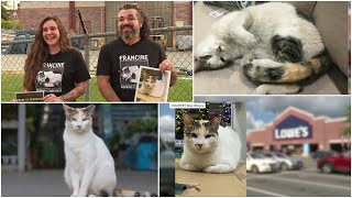 Famous Search for Richmond's 'very special' Lowe's cat Francine goes viral: 'She means a lot' Wealth