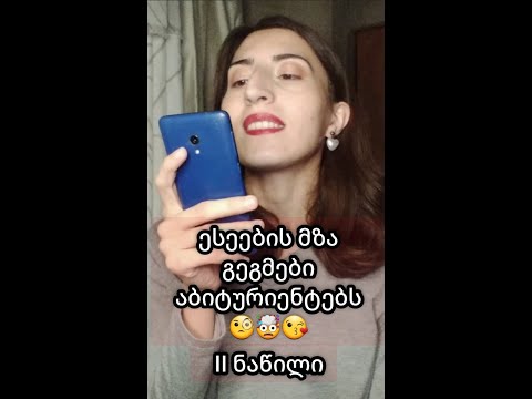 აბიტურიენტების ესეების გეგმები - მომდევნო ოთხი ესე