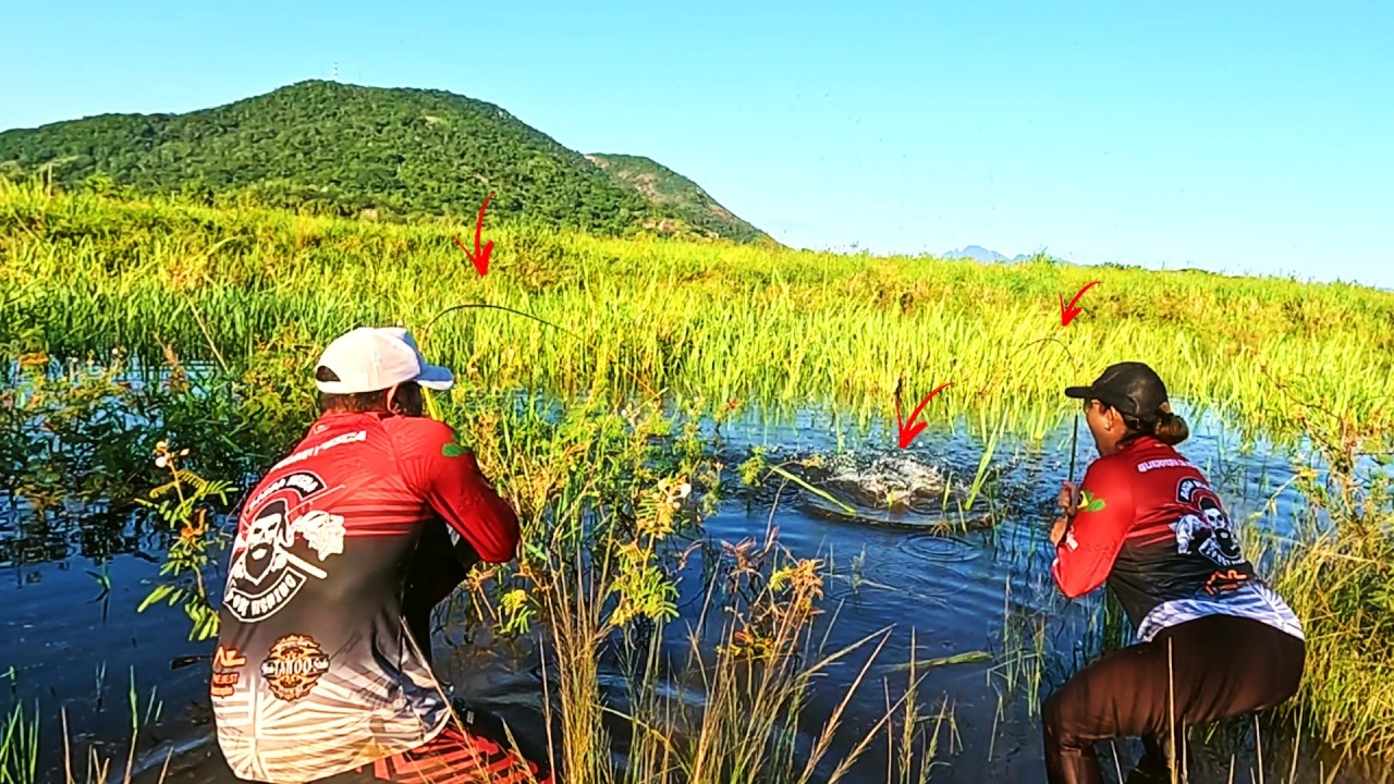 Encontramos um alagado com devoradores. Pesca caipira.