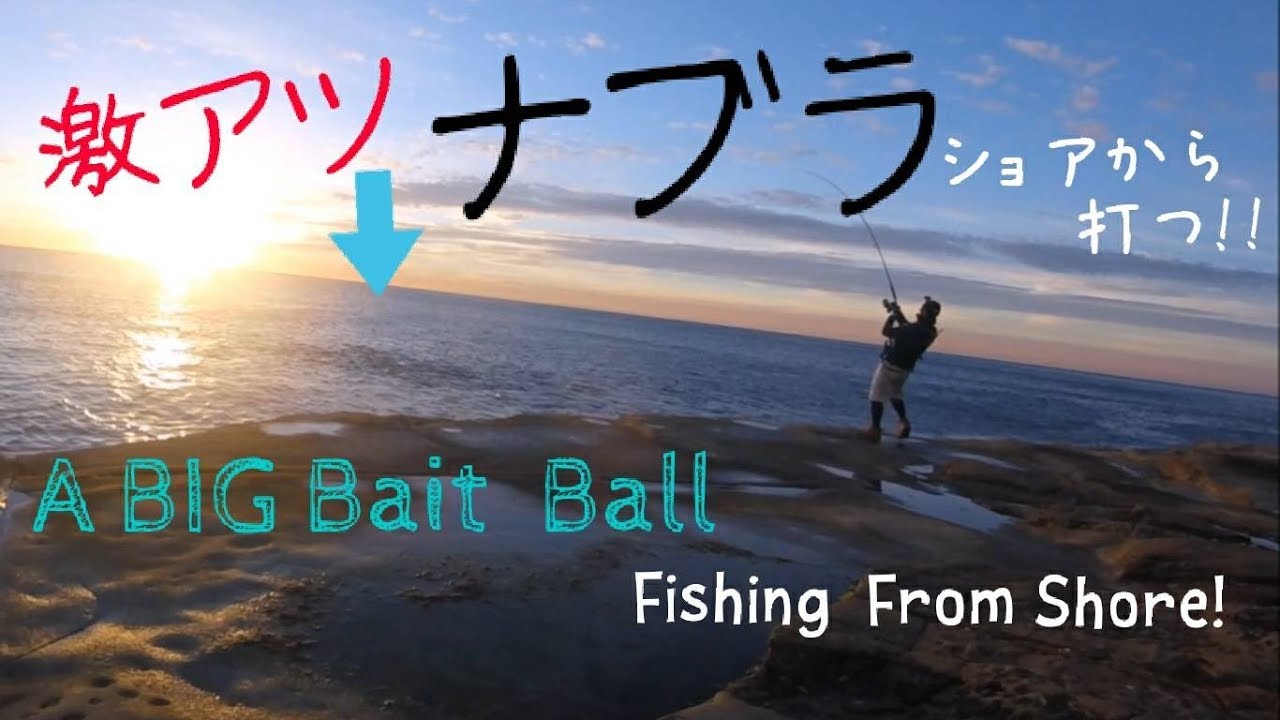 ショアからフラペンブルーランナーでトップ炸裂 ショアプラッキング Youtube ショアからフラペンブルーランナーでトップ炸裂 ショアプラッキング Youtube