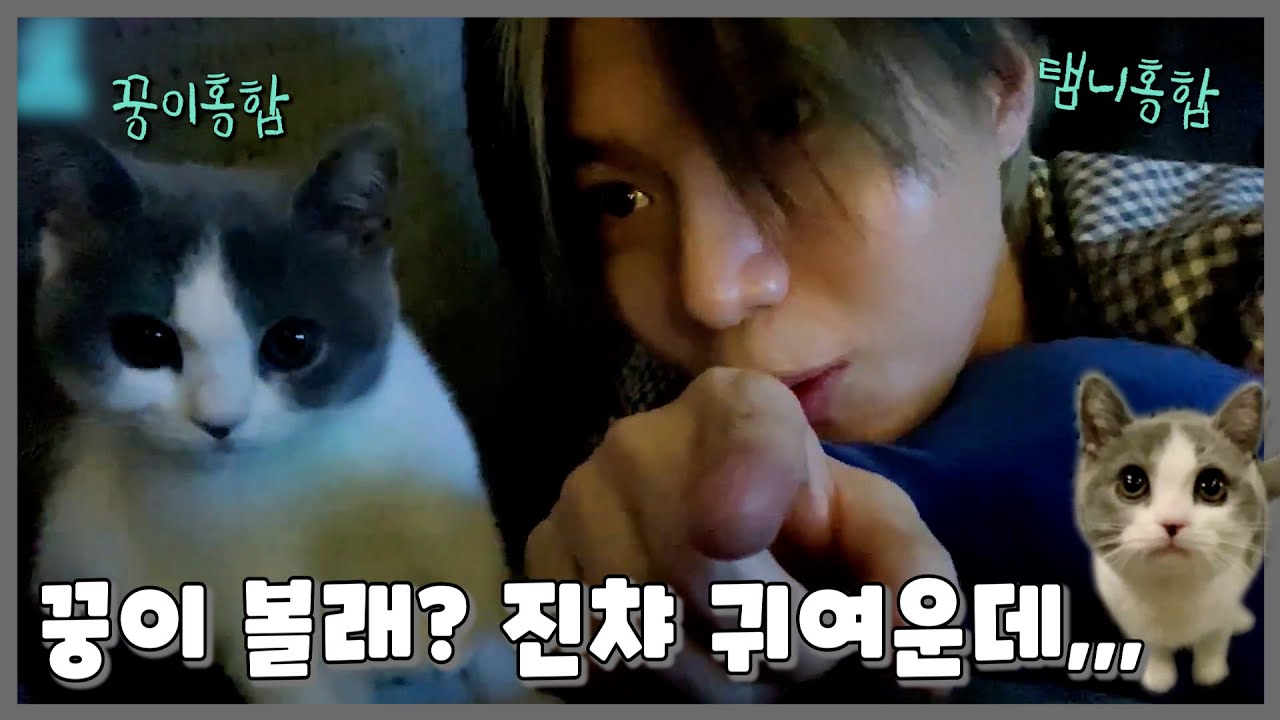 진챠 귀여운 꿍이 보고 가세효... 집사도 귀여운데ㅠ │ 꿍이 모음zip