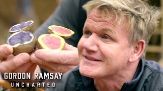 Gordon Ramsay's Most Extreme Food Foraging Adventures | Gordon Ramsay: Uncharted