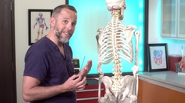 Lumbar Puncture Anatomy | Adult EM Bootcamp