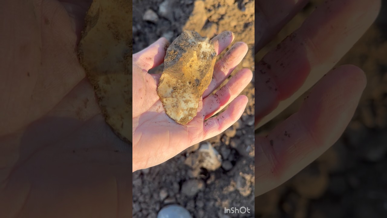 Deliberate Shape #arrowhead #arrowheadhunting #nativeamerican #artifacts #artifacthunting #rocks