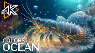 Aquarium 4K (VIDEO UHD)  The AweInspiring Beauty of Marine Life  Stunning Aquarium Relax Music