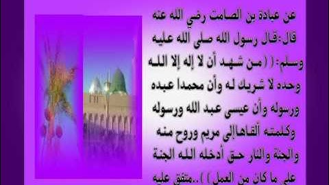 الجزء السادس عشر سورة مريم(فحملته) جمال على العارف