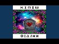 фіалки 
