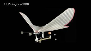 A New Design of Biomimetic Robotic Butterfly Enables Coupled Wing-abdomen Motion.