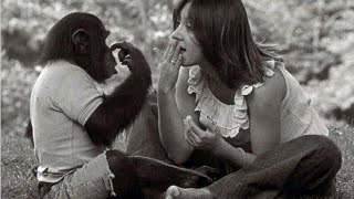 Two Monkeys, One Simple Task: A Study in Identical Primate Performance