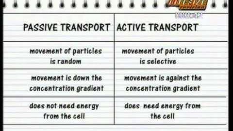 GCSE BBC Bitesize Higher Science - Cell activity