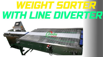 Berry Sorting Made EASY with Checkweigher Technology!