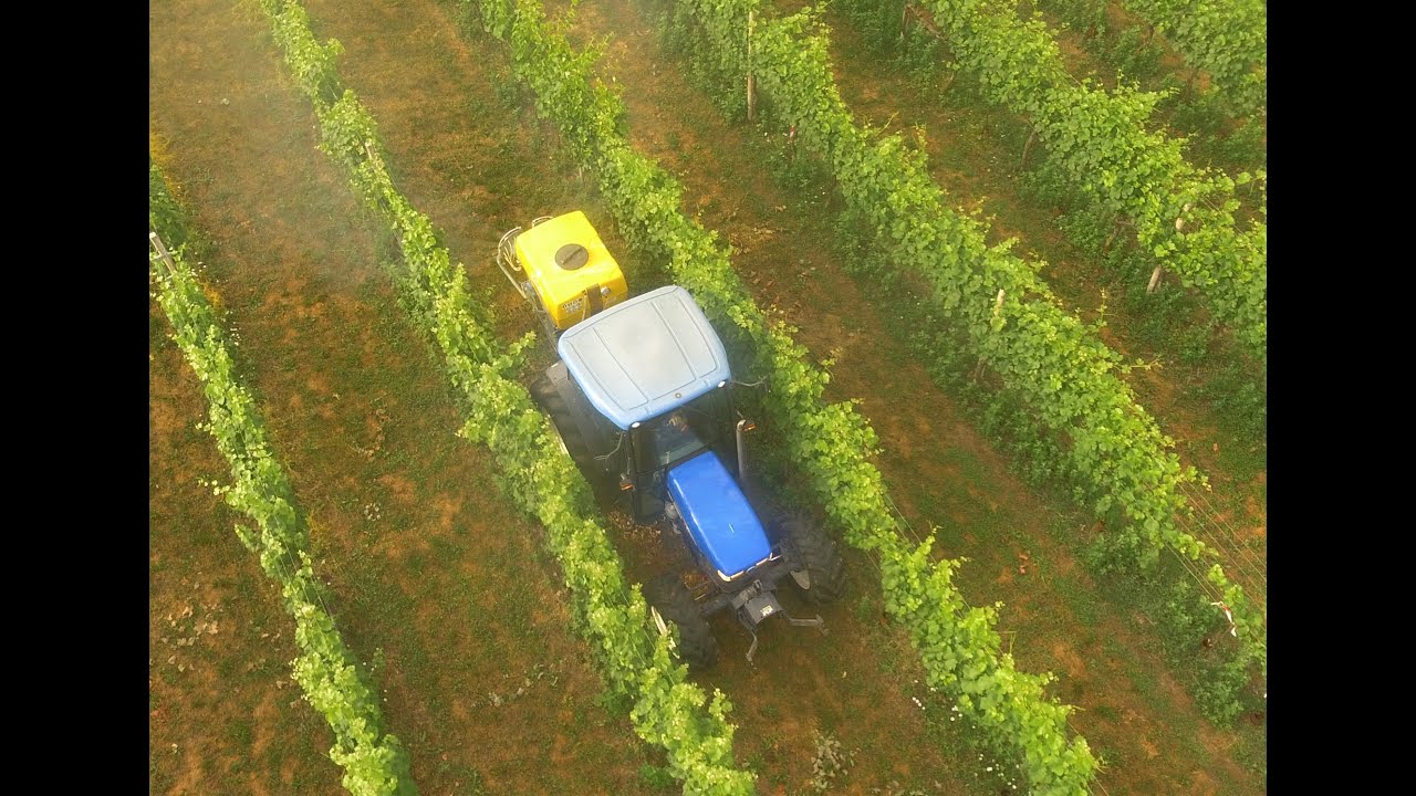 Trattamento vigneto / Vigneto 2021 / New Holland TN 75S / Atomizzatore Martignani / Ferrazza & Cova