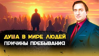 Причины пребывания души в мире людей. Сергей Серебряков