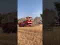harvester combine video