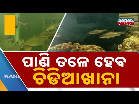 ପୁରୀରେ ହେବ ବିଶ୍ୱସ୍ତରୀୟ ଆକ୍ୱାରିଅମ୍! Puri World-Class Aquarium Project | Odisha Revives Tourism Dream