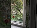 This Time of Year in My South Florida Backyard! Take care of yourself because you’re very Special