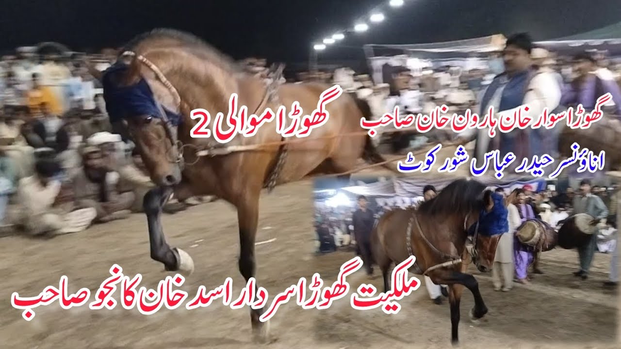 Ghora Raching Ghora Horse Dance Pakistan Rung||Ghora Dance - YouTube