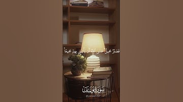 فصبر جميل عسى الله أن يأتيني بهم جميعا -من سورة يوسف -القارئ محمد هشام