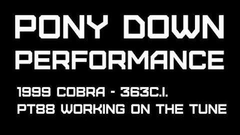 PONY DOWN - Chris