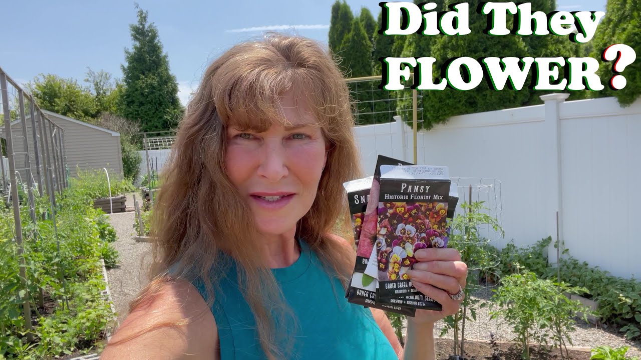 Flower Seed Results Featuring Baker Creek and Botanical Interest YouTube