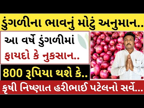 ડુંગળીના ભાવનું અનુમાન = 800 રૂપિયા થશે કે | હરીભાઈ પટેલનો સર્વે | ડુંગળીના ભાવ | khedut sahay
