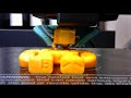 3D Printer Timelapse MakerRobotFigure - Monoprice Maker Select v2.1 Printer