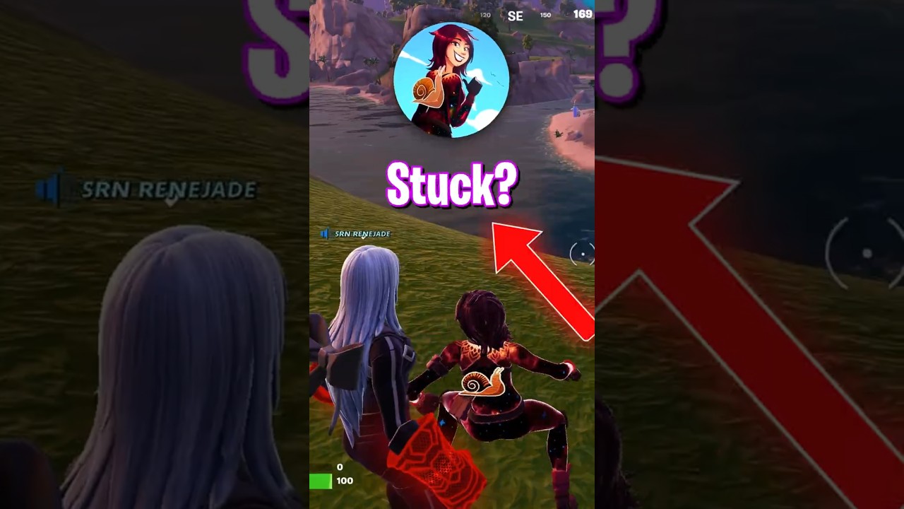 Fortnite FORGOT to Ban This Sus Emote...