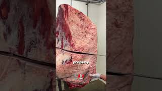 Joe Rogan Reacts to Raw Gummy Meat Trend.