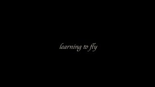 Learning To Fly - Felix Still
