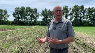 Agronomy Minute - Interpreting Soil Test Reports