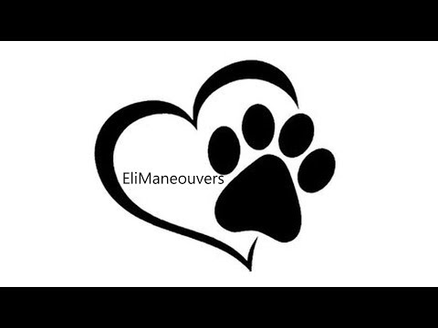 elimaneouvers---dog-training-service---brighton-&-hove