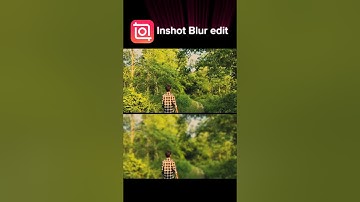 How To Edit Background Blur | Inshot Video Editor Tutorial #shorts #tutorial