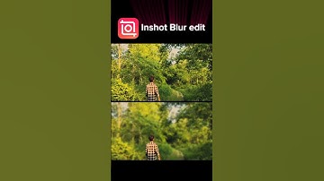 How To Edit Background Blur | Inshot Video Editor Tutorial #shorts #tutorial