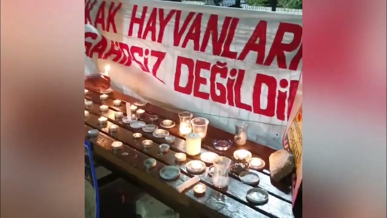 Köyceğiz'den Gebze katliamına tepki