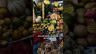 Alice Belaïdi Nous Parle De La Martinique, Son Coin De France Préféré