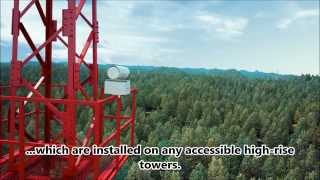 Lesnoy Dozor - system for forest monitoring and early detection of forest fires