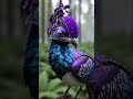 A colorful, exotic bird with purple and blue feathers stands on a mossy stump in a forest, featuring